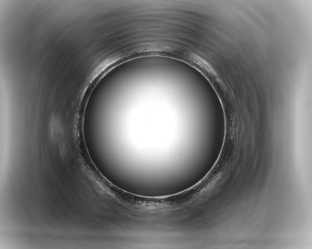 X0000086930786200704301116