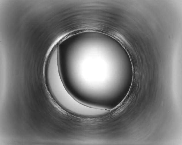 X0000086930788200704301116