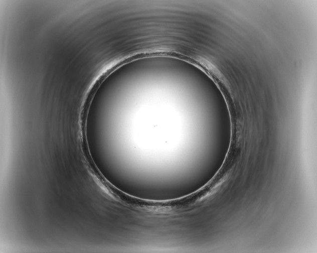 X0000086930789200704301116