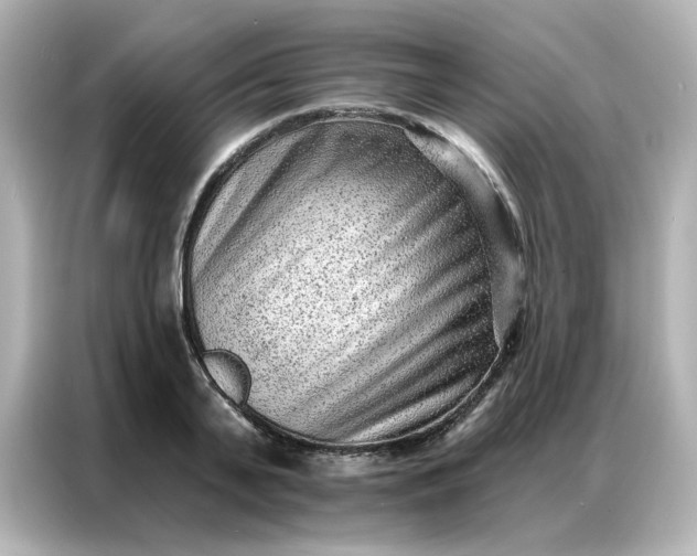 X0000086930791200704301116