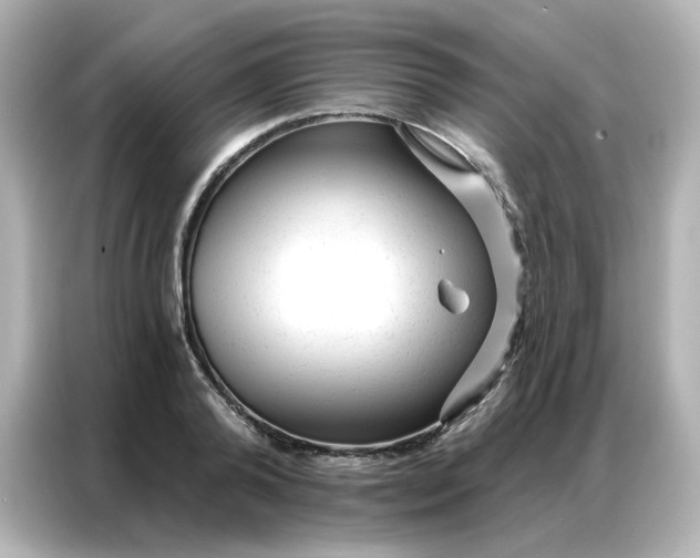 X0000086930792200704301116