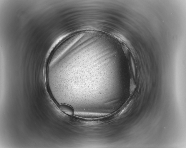 X0000086930796200704301116