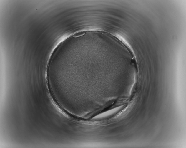 X0000086930797200704301116