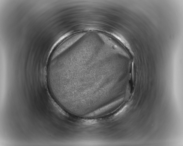 X0000086930798200704301116