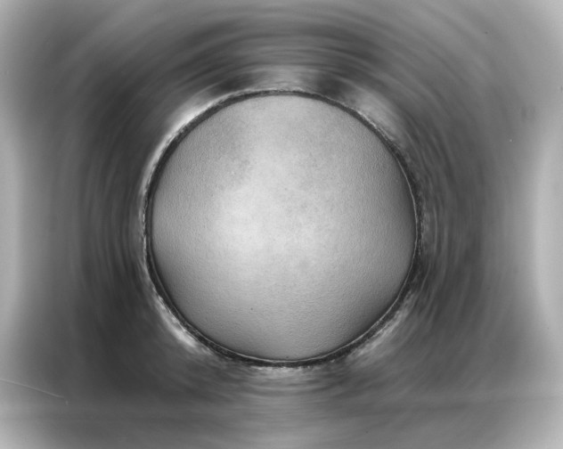 X0000086930800200704301116