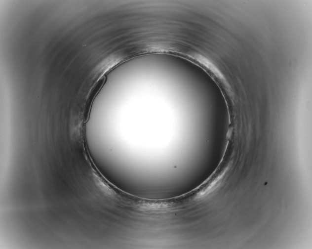 X0000086930801200704301116