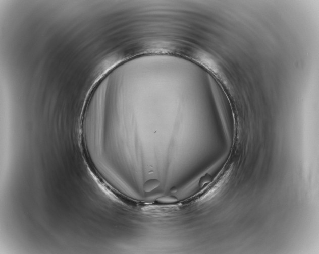 X0000086930802200704301116