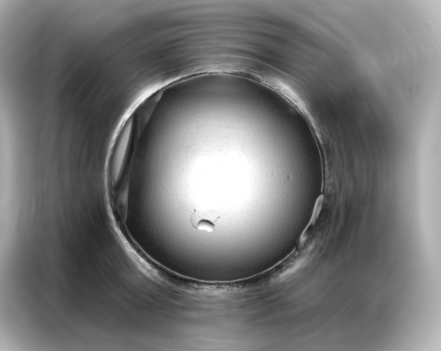 X0000086930803200704301116