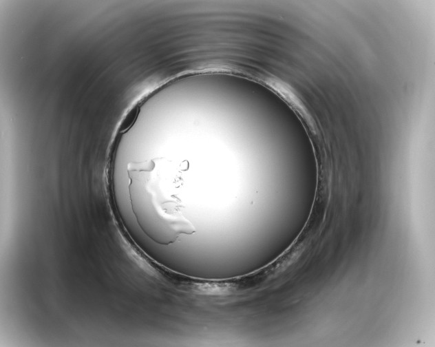 X0000086930805200704301116