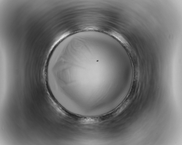 X0000086930806200704301116