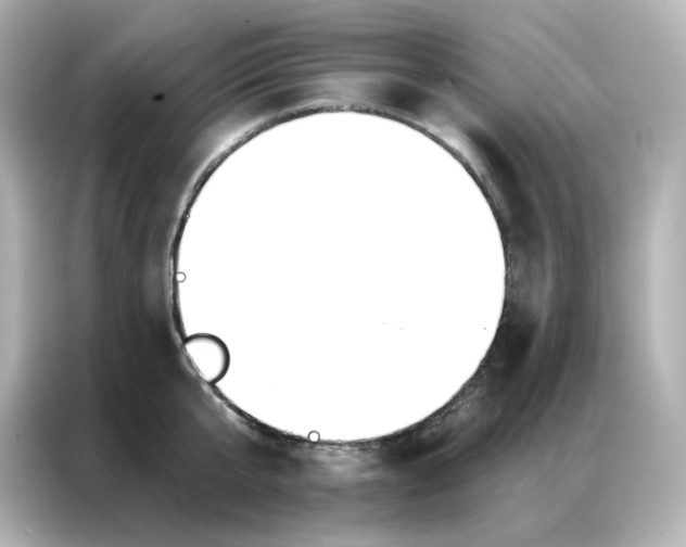 X0000086930807200704301116