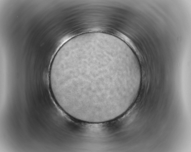 X0000086930810200704301116