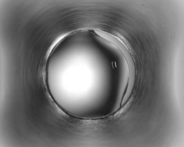 X0000086930812200704301116