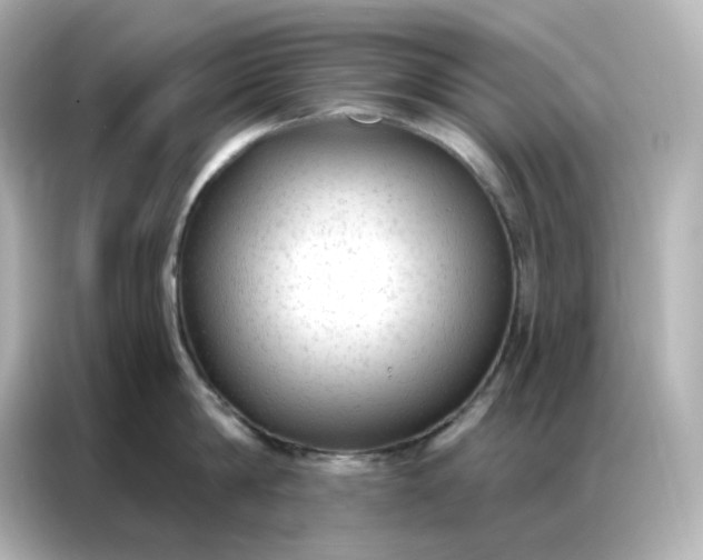 X0000086930814200704301116