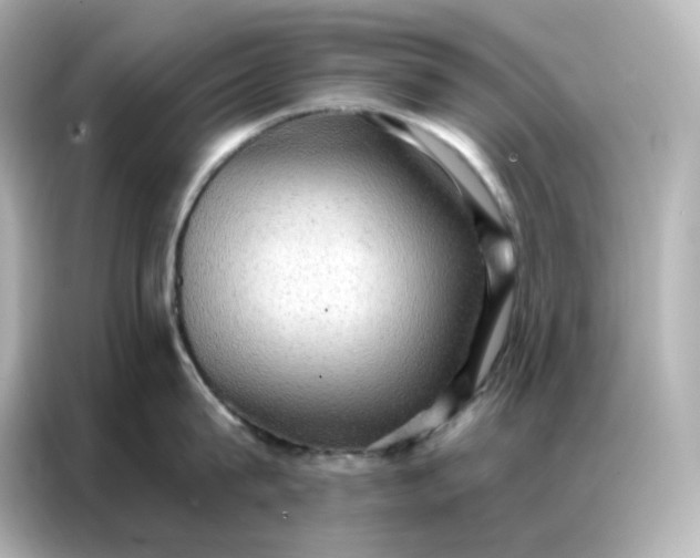 X0000086930815200704301116