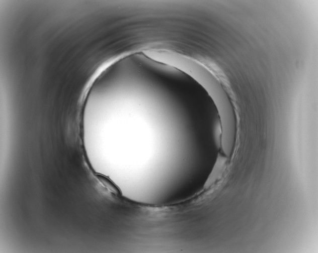 X0000086930816200704301116