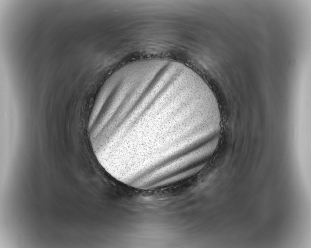 X0000086930817200704301115