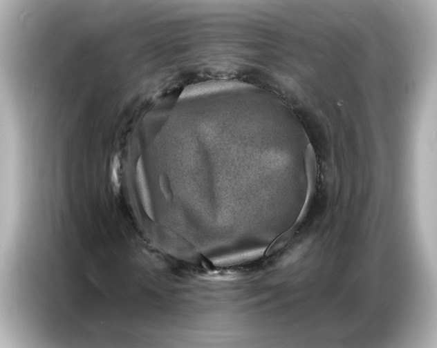 X0000086930818200704301115