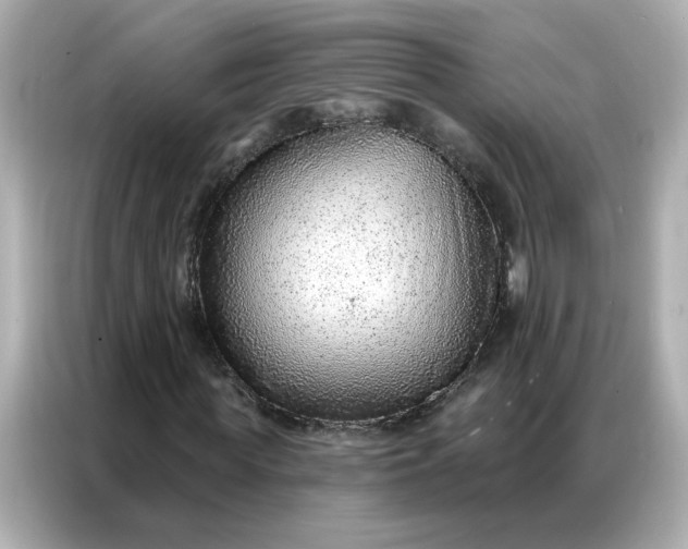 X0000086930819200704301115