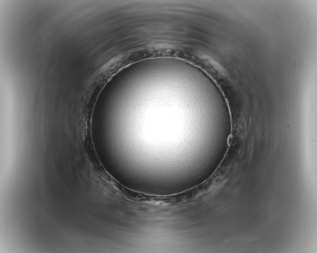 X0000086930821200704301115