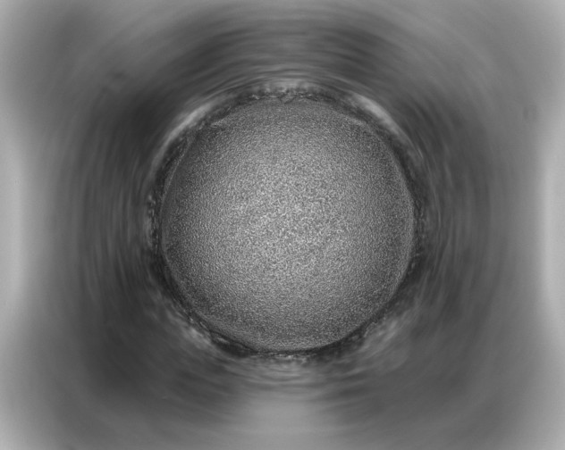 X0000086930823200704301115