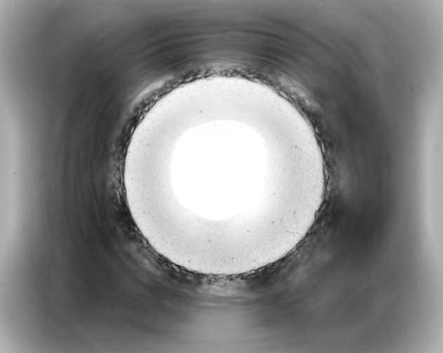 X0000086930824200704301115