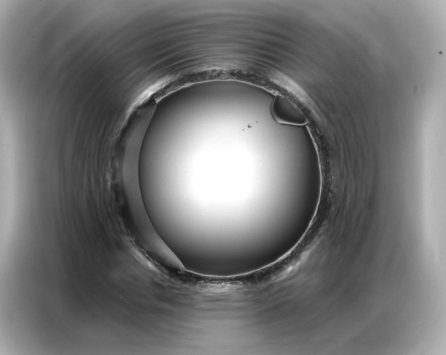 X0000086930826200704301115