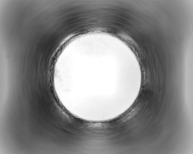 X0000086930828200704301115