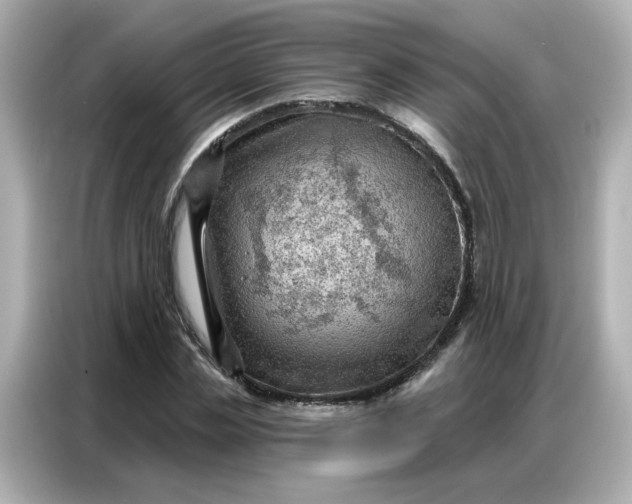 X0000086930829200704301115