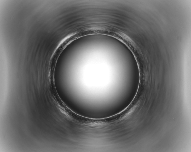 X0000086930830200704301115