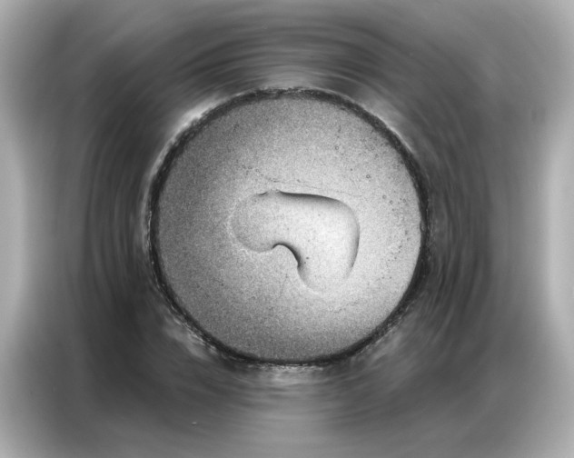 X0000086930832200704301115