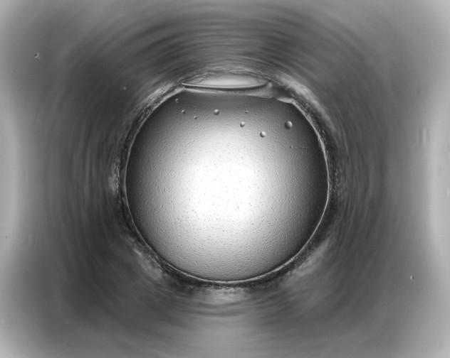 X0000086930833200704301115