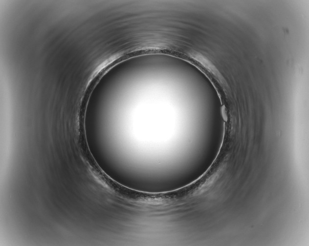 X0000086930834200704301115