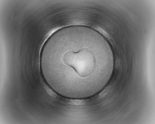 X0000086930836200704301115