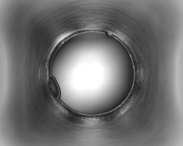 X0000086930838200704301115