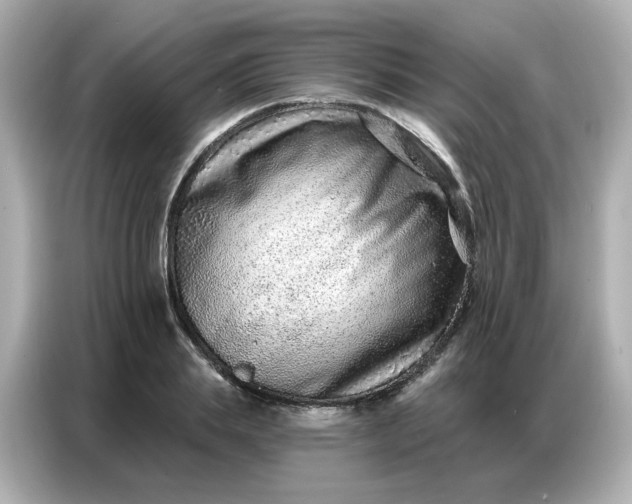 X0000086930839200704301115