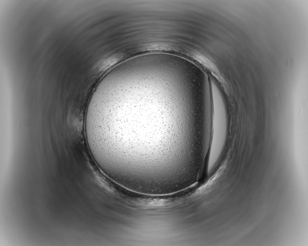 X0000086930841200704301115