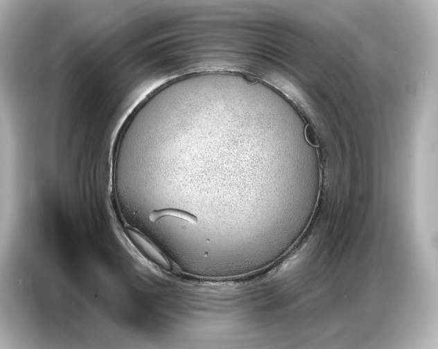 X0000086930844200704301115