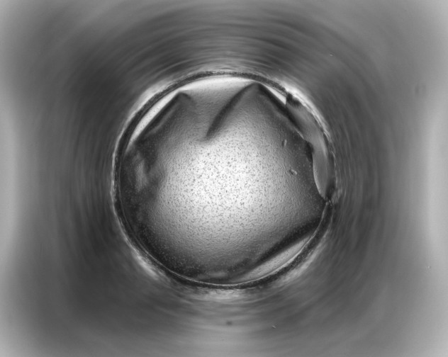 X0000086930845200704301115