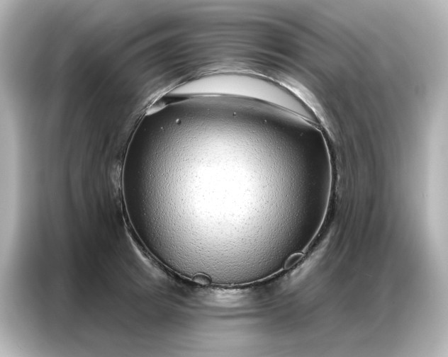 X0000086930849200704301115