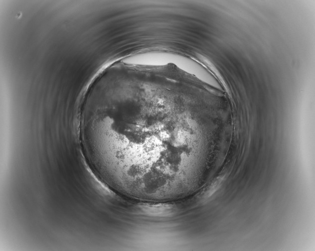 X0000086930851200704301115