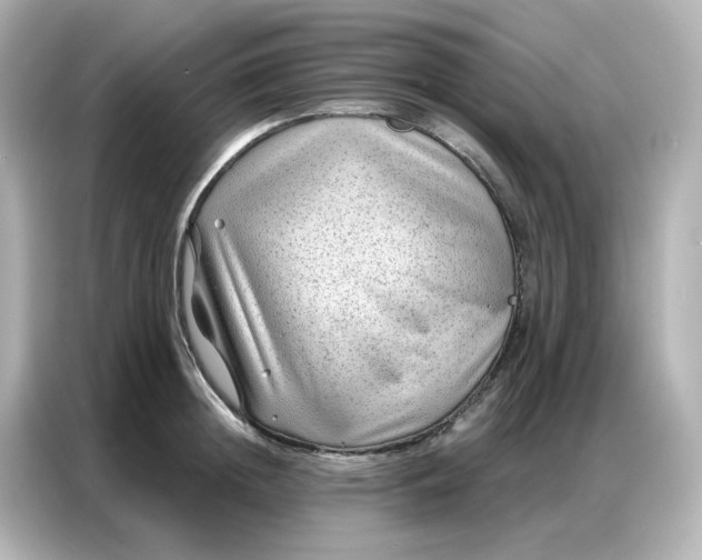 X0000086930852200704301115