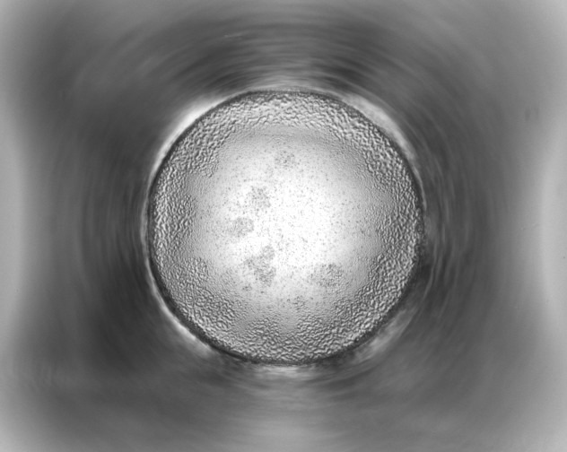 X0000086930855200704301116