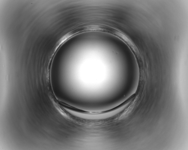 X0000086930858200704301116