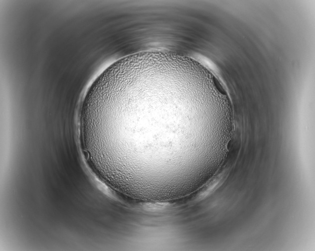 X0000086930859200704301116