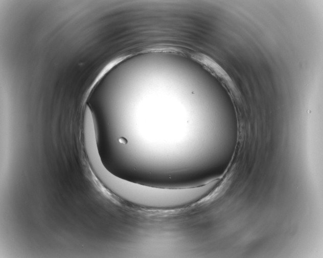 X0000086930860200704301116