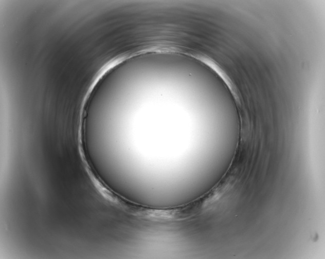 X0000086930861200704301116