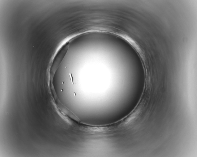 X0000086930862200704301116