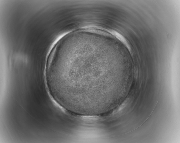 X0000086930863200704301116