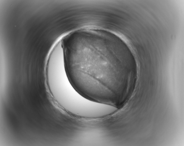 X0000086930864200704301116